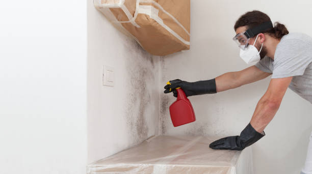 Professional Mold Removal technician working in Oceanside, NY